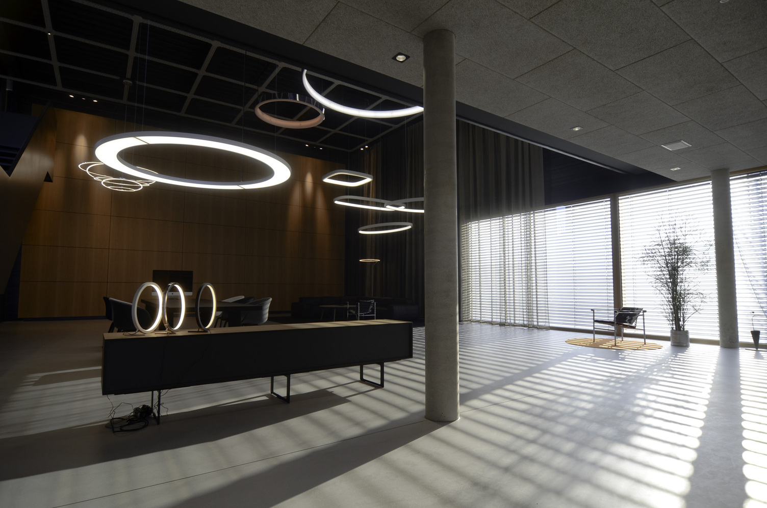 SATTLER ANELLO Leuchte Ø 2600 mm im Showroom SATTLER ANELLO LED-Ringleuchte im Firmen-Showroom, Ø 2600 mm direkt/indirekt