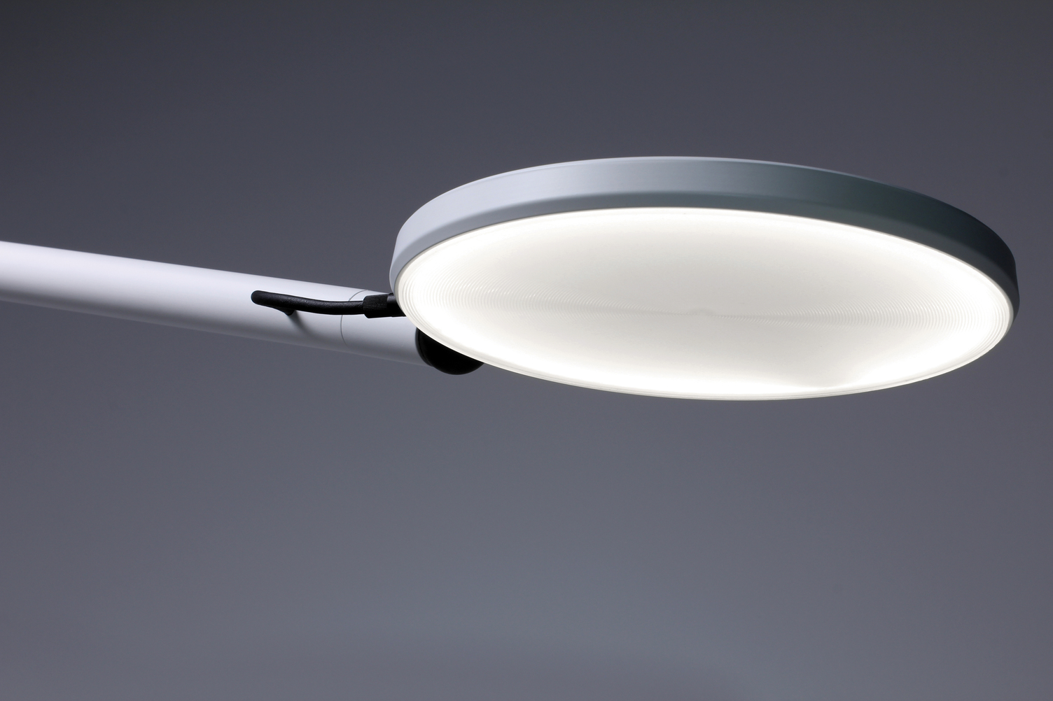 AVVENI Light Head - FLOOD AVVENI flood light head with white housing. The diffuser is circular grooved and glossy.