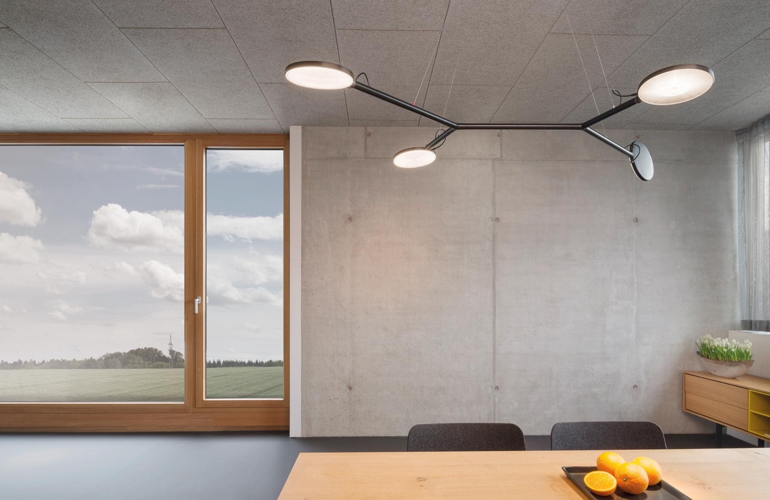In front of a concrete wall, the AVVENI Pendant 4 pendant light with four flat lamp heads hovers at the edge of a branched structure above a table with lemons.