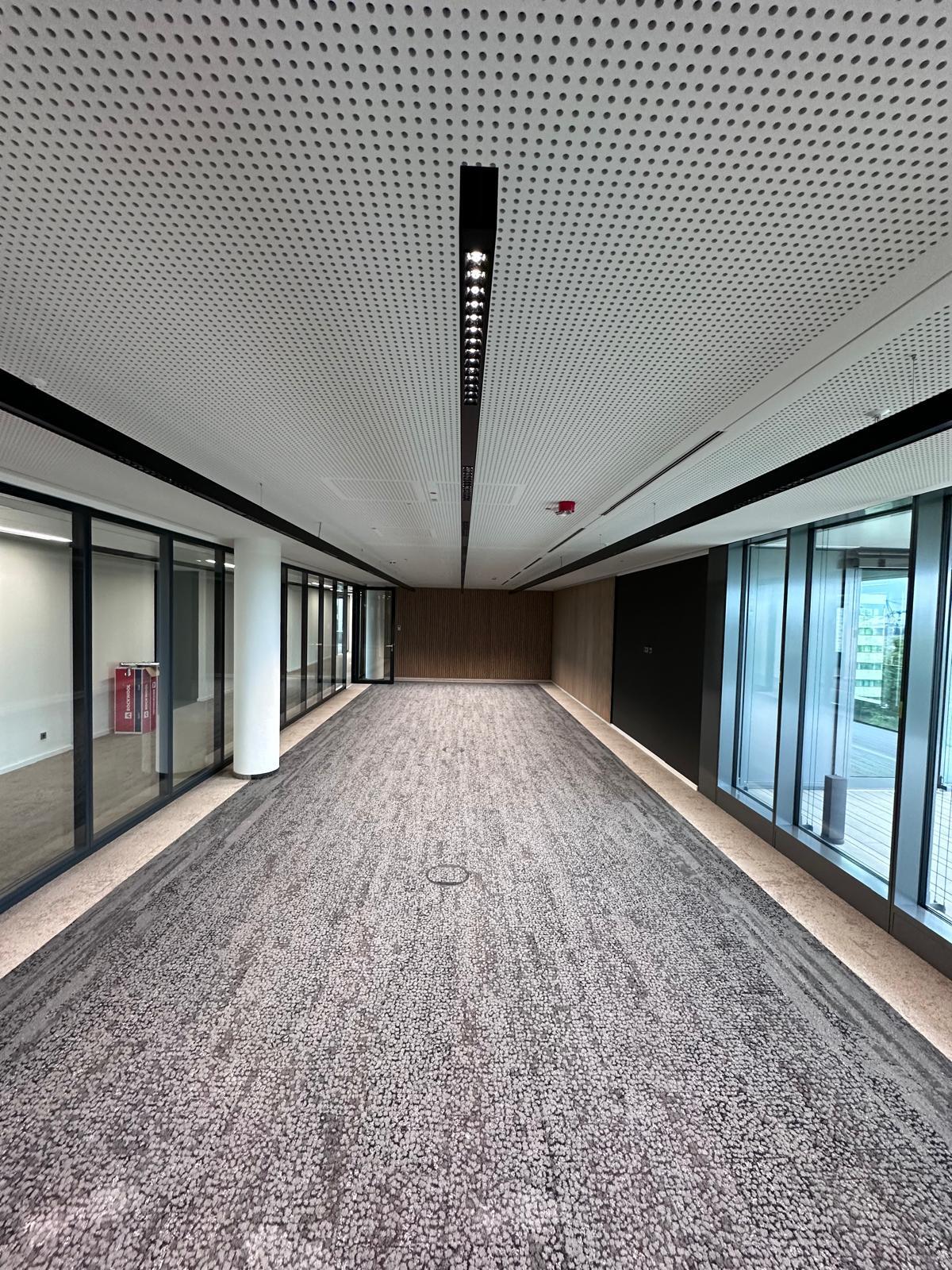 Linear pendant luminaire PALADIO LENS 54 as glare-free meeting and office room lighting - LEVELZ Large empty rectangular office space with glass walls and grey carpet, 3 long black linear luminaires with lens optics (PALADIO LENS 54) run along the ceiling.