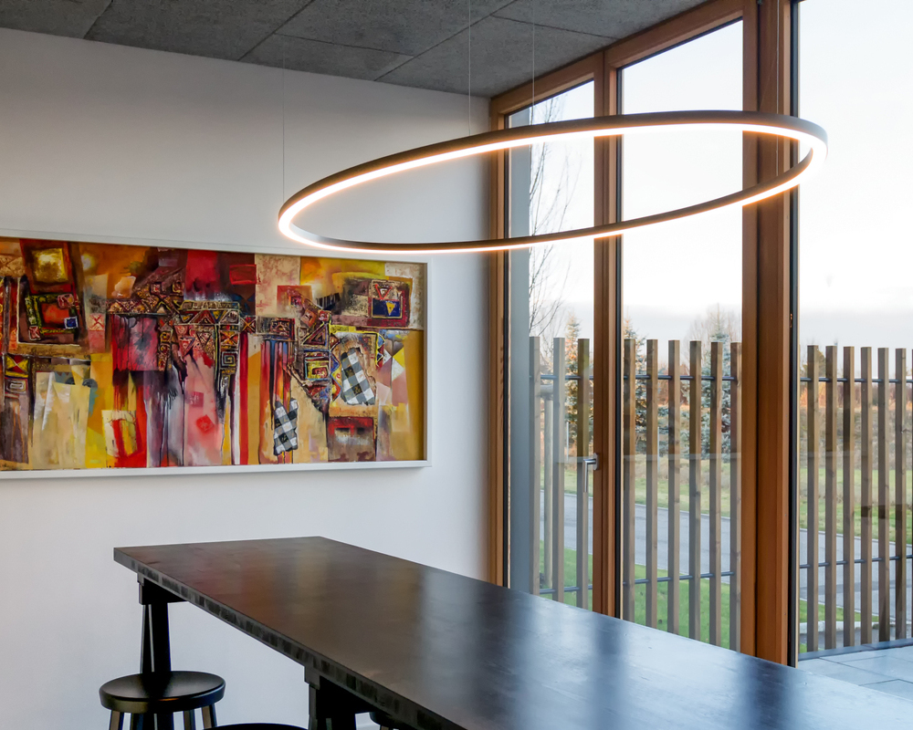 SLIM ELLIPSE direct light