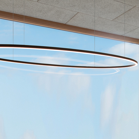 Oval LED pendant light
