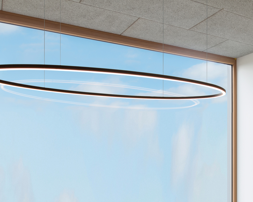 Oval LED pendant light
