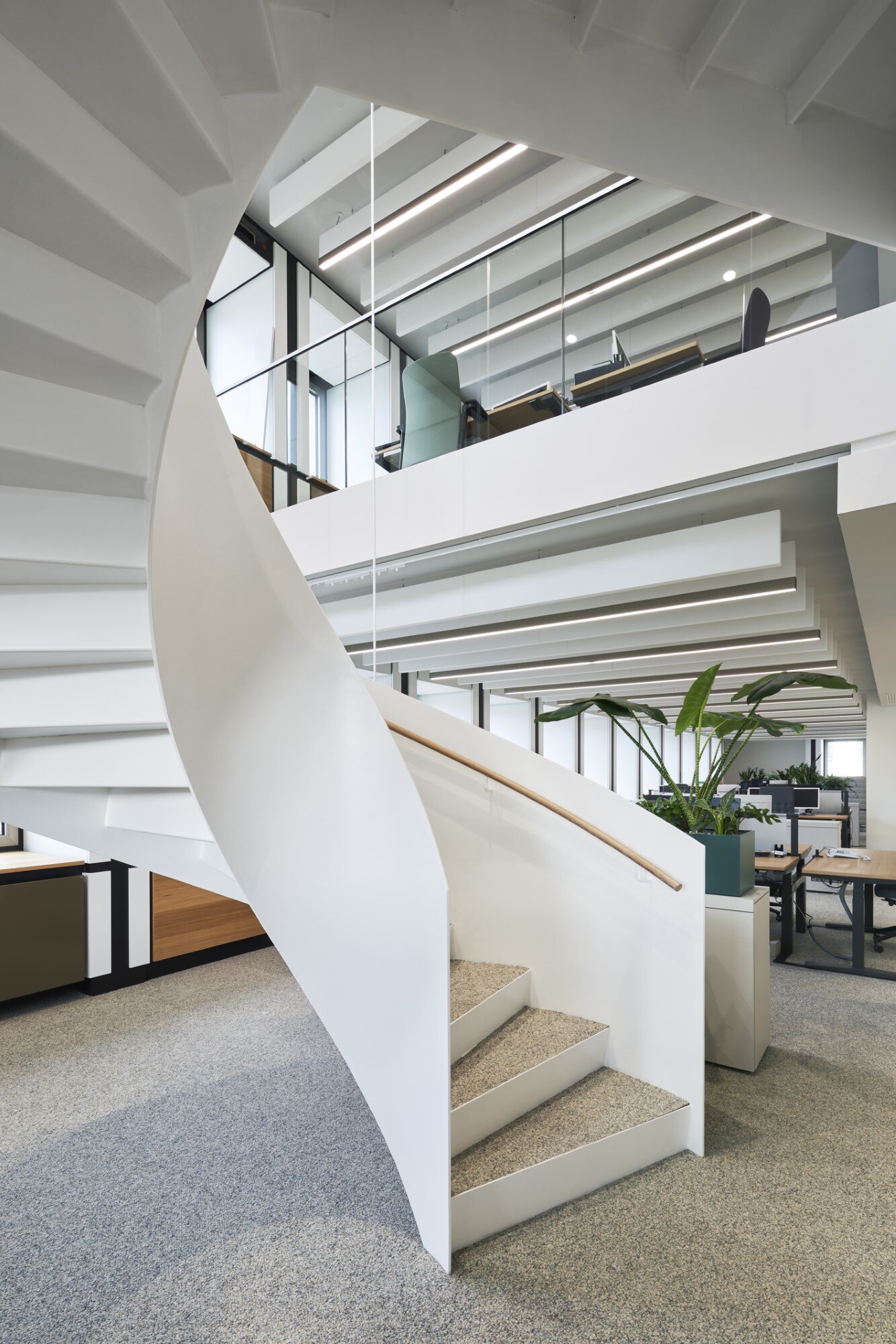 Spiral staircase with metal railing and view upwards into an open-plan office with acoustic baffles on the ceiling.