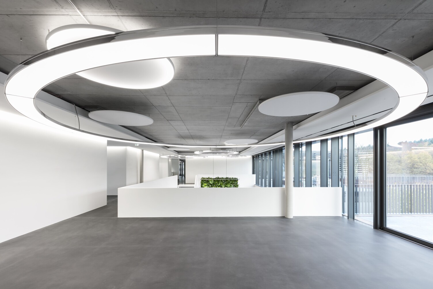 Anello 7m in Eingangshalle gemeinsam mit Acoustic Light Panel von SATTLER | © SATTLER | Nikolay Kazakov niko design Eine große 7m Anello Leuchte von SATTLER in einem modernen Foyer mit Sichtbetondecke um eine Betonsäule, jedoch zentral zu einer Empfangstheke ausgerichtet. Ergänzt wird die Beleuchtung mit akustisch wirksamen Akustik Light Leuchten, ebenfalls von SATTLER | © SATTLER | Nikolay Kazakov niko design