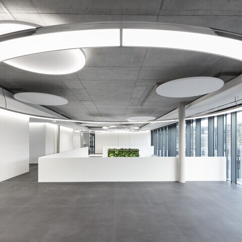 Ring light ANELLO 7m in entrance hall together with Acoustic Light Panel from SATTLER A large 7m Anello luminaire from SATTLER in a modern foyer with an exposed concrete ceiling around a concrete column, but centred on a reception desk. The lighting is complemented by acoustically effective Acoustic Light luminaires, also from SATTLER
